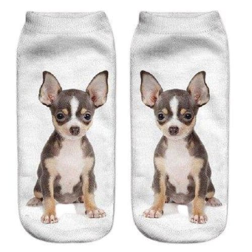 Chaussettes Animaux <br> Blanche Chihuahua - Animaux du Monde