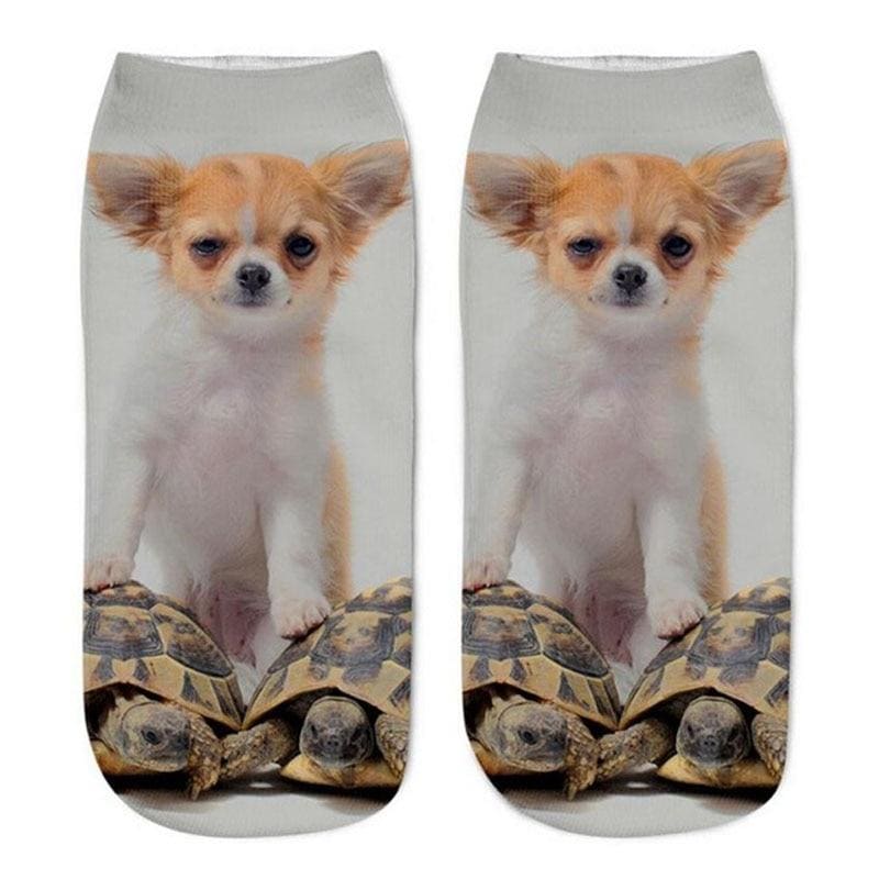 Chaussettes Animaux <br> Chihuahua - Animaux du Monde