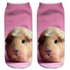 Chaussettes Animaux <br> Hamster - Animaux du Monde