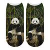 Chaussettes Animaux <br> Panda avec Bamboo - Animaux du Monde