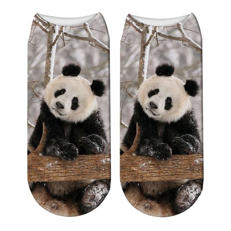 Chaussettes Animaux <br> Panda en Hiver - Animaux du Monde