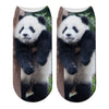 Chaussettes Animaux <br>Panda Fatigué - Animaux du Monde