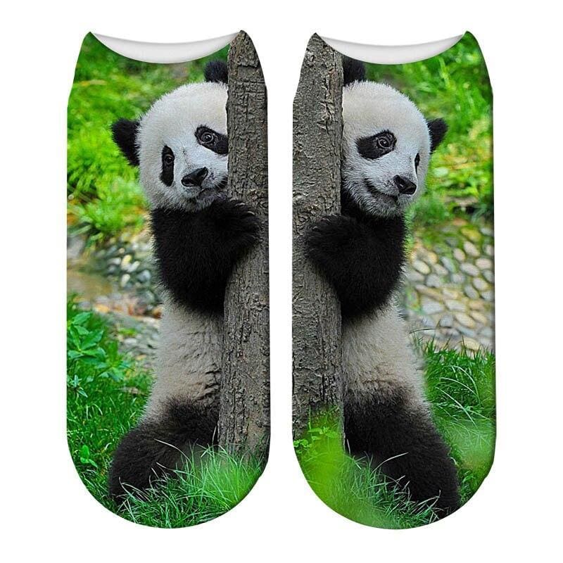 Chaussettes Animaux <br> Panda Femme - Animaux du Monde