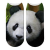Chaussettes Animaux <br> Tête de Panda - Animaux du Monde
