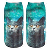 Chaussettes Animaux <br> Turquoise Chat - Animaux du Monde