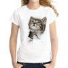 T-Shirt Animaux <br> Femme Chat - Animaux du Monde